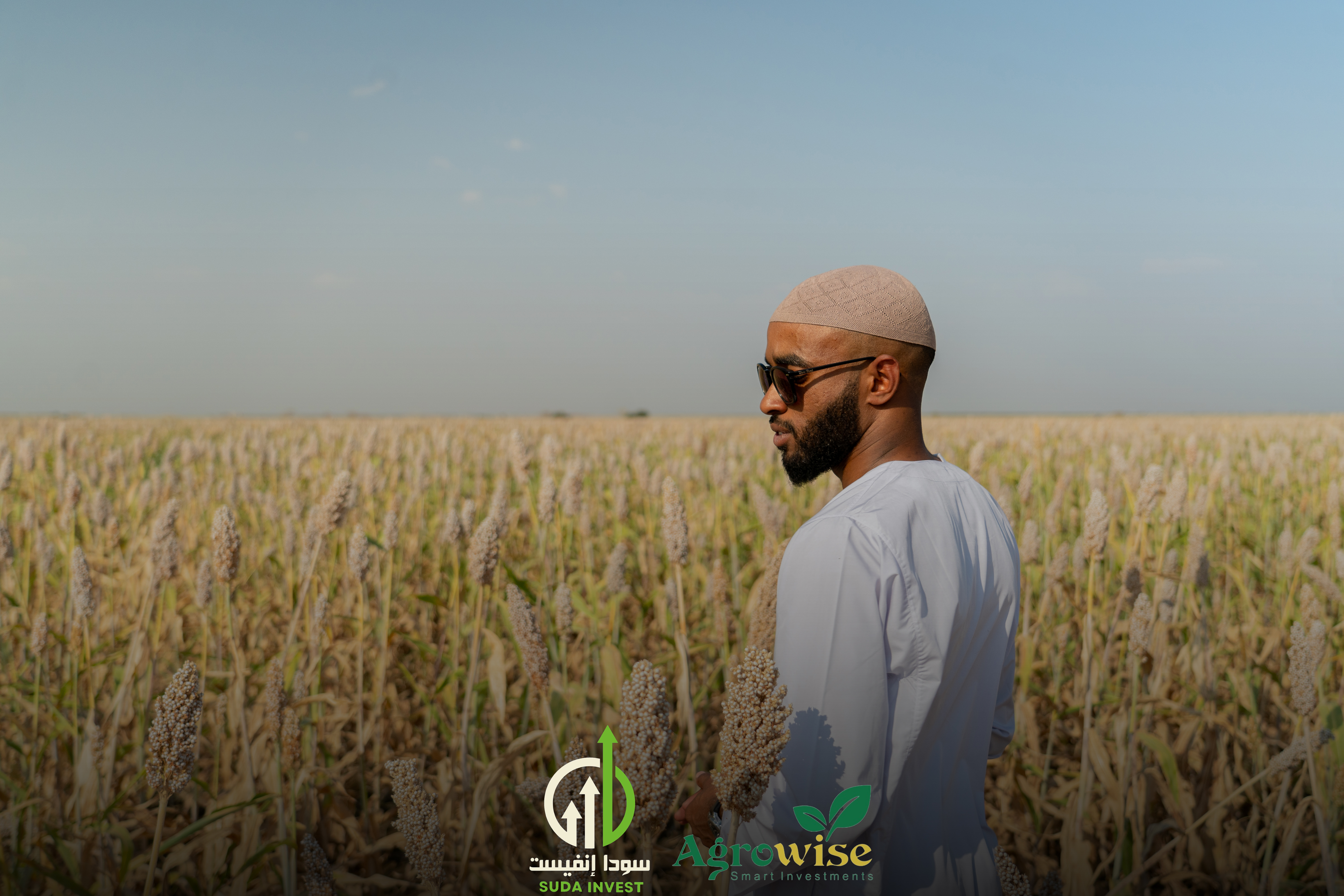 مشروع زراعة الذرة