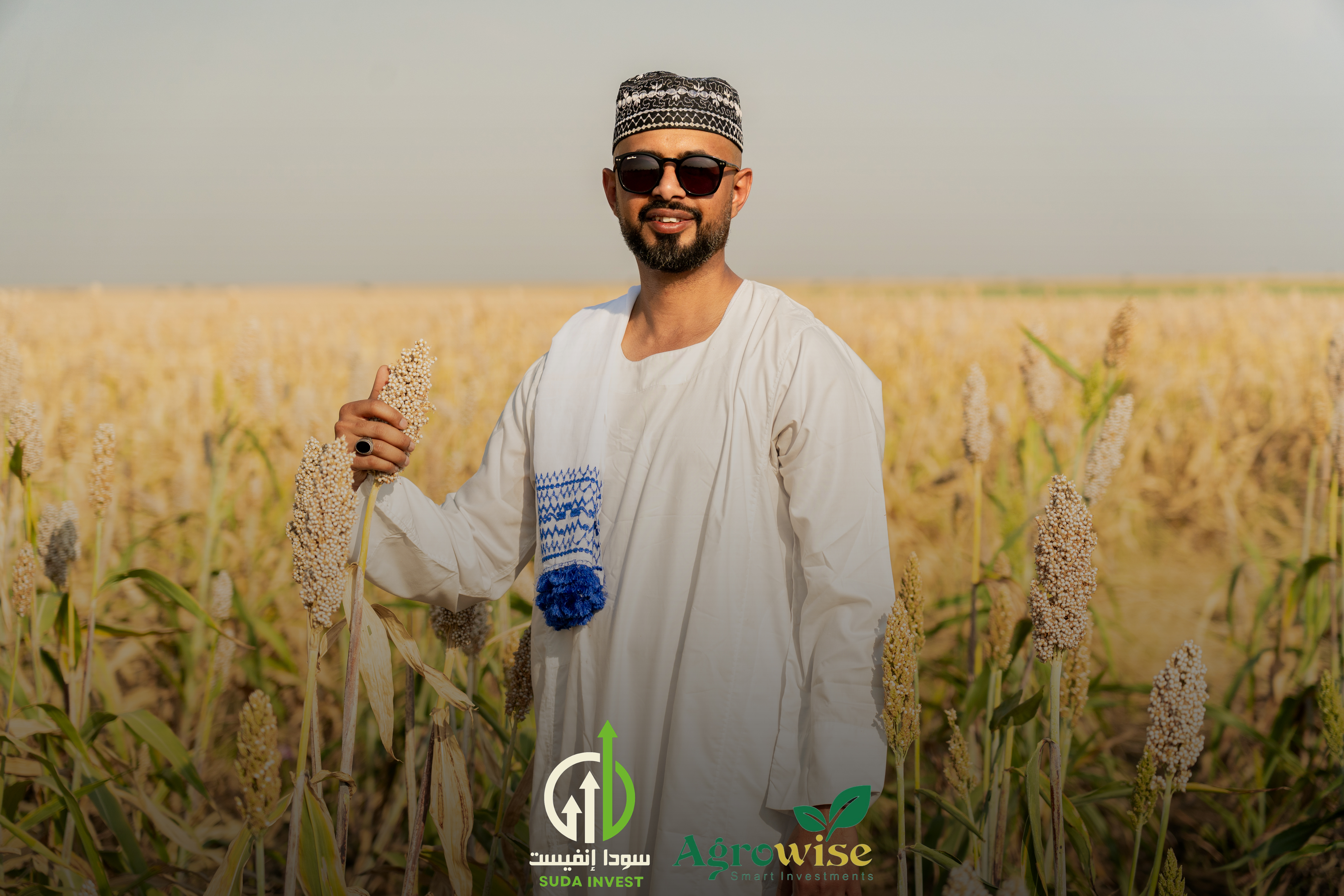 مشروع زراعة الذرة